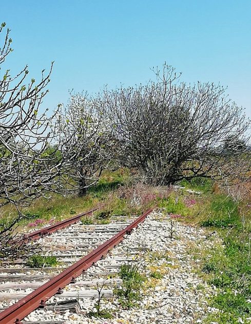 "Persephone, fiori di poesia" / Encomio CONTE DOMENICO  “Binario morto”