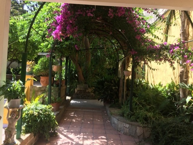 "Persephone, fiori di poesia" / Menzione LUBRANO ROSELLA  “Anche il mio giardino è poesia”